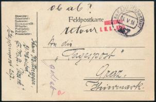 1918 Tábori posta levelezőlap "S.M.S. UZSOK"