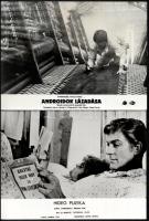 Eltérő időben készült amerikai filmek egy-egy jelenete, 13 db vintage produkciós filmfotó, ezüst zselatinos fotópapíron, a használatból eredő (esetleges) kisebb hibákkal, 18x24 cm