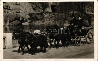 1941 Budapest XIV. Városliget, Székesfővárosi állat- és növénykert, Zoo Budapest, ötös pony fogat. Hölzel Gyula felvétele