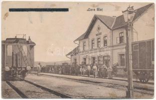 Balázsfalva, Blasendorf, Blaj; Küküllőszegi (Küküllőszög) vasútállomás, vonat. Vasúti levelezőlapárusítás 134. / Gara / railway station, train (ázott / wet damage)