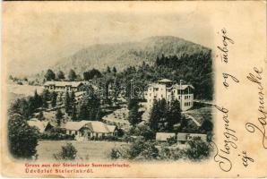 1901 Stájerlak, Steierlak, Stájerlakanina, Steierdorf, Anina; Nyaraló / Sommerfrische / general view, spa, villa (vágott / cut)