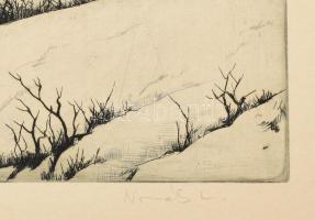 Novák Lajos (1927-1989): Dunakanyar. Rézkarc, papír, jelzett, kartonra kasírozva, 29x39 cm