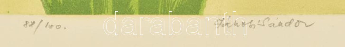 Jánosi Sándor (1927-1982): Kardvirág. Színes linómetszet, papír, jelzett. 35×18 cm