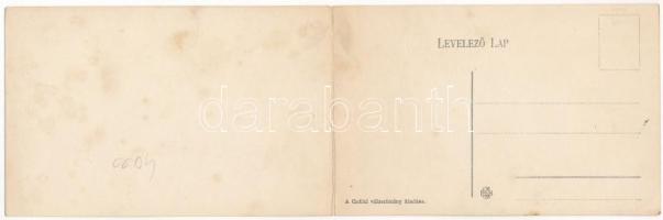 Felsőbánya, Baia Sprie; látkép délről, templom. A Gutini választmány kiadása, 2-részes kihajtható pa...