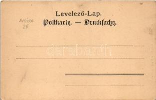 Anina, Stájerlakanina, Steierdorf; vasgyár, kolónia. G. Florianschütz kiadása / ironworks, iron fact...