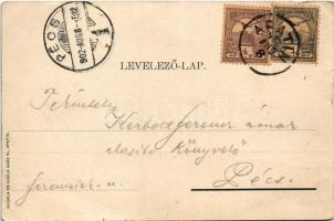 1902 Apatin, Téli kikötő. Gasz M. kiadása / Winterhafen / winter port (EB)