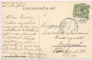 1908 Apatin, Régi Dunaág. Szavadill József kiadása / old Danube riverside