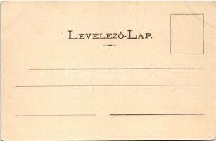 Rónaszék, Costiui (Máramaros); Bányahivatal és főnöki lakás. Kaufman Ábrahám kiadása / mine office a...