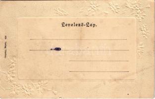 Segesvár, Schässburg, Sighisoara; látkép / general view. Emb. floral (kis szakadás / small tear)