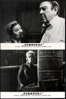 cca 1971 ,,Forrófej" című jugoszláv bűnügyi film jelenetei és szereplői, 10 db vintage produkciós filmfotó ezüst zselatinos fotópapíron, a használatból eredő (esetleges) kisebb hibákkal, 18x24 cm