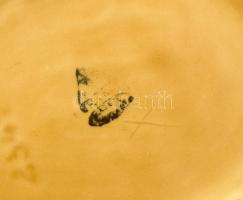 Gránit 5 darab hal alakú és festésű kínáló, 3 klf méretben, jelzéssel, kopással, h: 21-29 cm