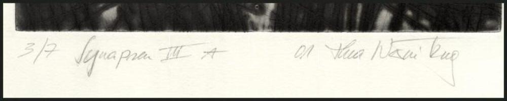 Thea Wernitznig (?-): Synapsen III. A. Hidegtű, papír, jelzett, számozott (3/7). 19,5x19,5 cm
