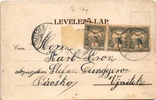 1901 Buziásfürdő, Baile Buzias; Nagy szálloda. Herrling Károly kiadása / Grand Hotel (Rb)