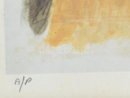 Olvashatatlan jelzéssel: Enteriőr. Ofszet, papír. Művészpéldány A/P jelzéssel. Üvegezett fakeretben,...