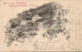 Schneeberg Baumgartner house