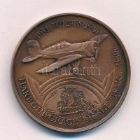 Bozó Gyula (1913-2004) 1991. "60 éves a magyar óceánrepülés Endresz György - Magyar Sándor / Ha...