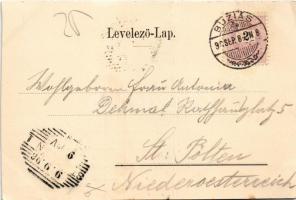 1898 (Vorläufer) Buziásfürdő, Baile Buzias; Gyógyterem, bazár, sétány a meleg fürdőhöz / spa, bazaar...