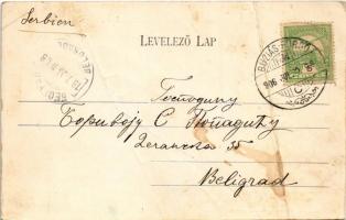 1906 Buziásfürdő, Baile Buzias; József-forrás. Nosek Gusztáv kiadása / spa, spring source (fa)