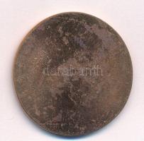 ifj. Szlávics László (1959- ) DN "Lázár Vilmos" egyoldalas bronz emlékérem (~40-41mm) T:AU