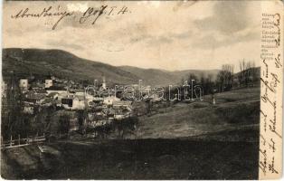 1907 Abrudbánya, Abrud; látkép / general view (ázott sarok / wet corner)