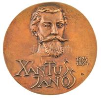 Király Vilmos (1953-2021) 1999. Xántusz János 1825-1894 / Idegenforgalmi Középiskola és Szálloda - Hotel Római bronz plakett, eredeti dísztokban, beleragasztott adományozói lappal T:UNC,AU kis ph