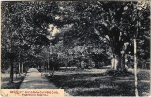 1918 Bikszád-fürdő, Baile Bixad; Park részlet, sugárút. Divald Károly Fia kiadása / park, road (EK)