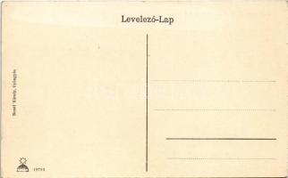 Gyöngyös, Orczy kastély kertje és a Kőoroszlán kapudísz, Kékes tető és Sárhegy. Bendl Károly kiadása