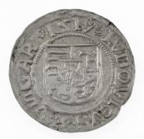 1519K-G Denár Ag "II. Lajos" (0,54g) T:AU Hungary 1519K-G Denar Ag "Louis II" (0...
