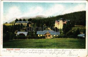 1903 Stájerlak, Steierlak, Stájerlakanina, Steierdorf, Anina; Sommerfrische / nyaraló. Hollschütz kiadása / villa, spa (kopott sarkak / worn corners)