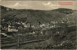 Stájerlak, Steierlak, Stájerlakanina, Steierdorf, Anina; látkép. Viktor Félser kiadása / general view (EK)