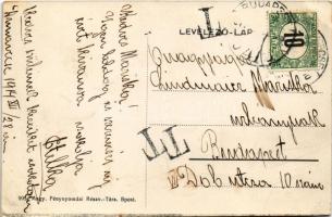 1914 Dunavecse, Biri lak, villa (EK)