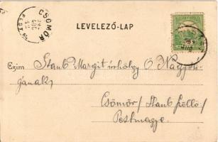 1902 Biharfüred, Stana de Vale, Stina de Vale; Diana berke, vízesés, fahíd / creek, waterfall, woode...