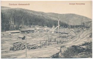 Gelence, Ghelinta; Zernyei fűrésztelep, iparvasút, gyár. Bogdán A. fényképész / Zarna sawmill, industrial railway, factory