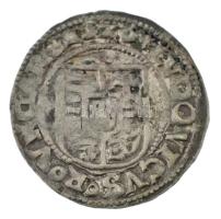 1526Z-V Denár Ag "II. Lajos" (0,52g) T:XF Hungary 1526Z-V Denar Ag "Louis II" (0...