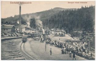 Gelence, Ghelinta; Zernyei vonat érkezése a fűrésztelepre, iparvasút, gyár. Bogdán A. fényképész / Zarna sawmill, industrial railway, factory