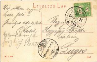 1909 Oravicabánya, Oravica, Oravicza, Oravita; Bányavölgy. W.L. 1212. / mine valley + "ORAVICZA...