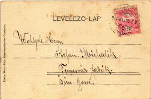 1911 Oravicabánya, Oravica, Oravicza, Oravita; Bányavölgyi részlet. Weisz Félix kiadása / mine valle...