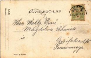 1905 Lugos, Lugoj; Gimnázium és Színház. Berecz J. kiadása / grammar school, theatre (EK)