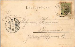 1905 Lugos, Lugoj; Kön. Obergymnasium, Stadttheater / Főgimnázium, városi színház. Koloman Nemes kia...