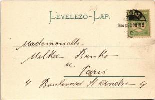 1904 Lugos, Lugoj; M. kir. törvényszéki palota és Temes folyó. Auspitz Adolf kiadása / court, Timis ...