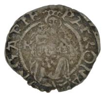 1558K-B Denár Ag "I. Ferdinánd" (0,40g) T:VF kitörés, patina Hungary 1558K-B Denar Ag &quo...