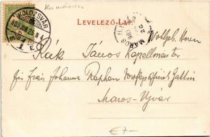 1903 Kolozsvár, Cluj; Mátyás király szobor és születési háza / statue and birthplace of Matthias Cor...