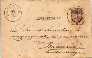 1899 (Vorläufer) Arad, Városház tér, Városháza. Lengyel L. műintézete / town hall, square (fl)