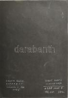 Sajdik Ferenc (1930-): "A ló kérdez" (Ludas Matyi címlap rajz, 1988. július 6.). Tus, akva...