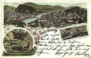Salzburg Litho