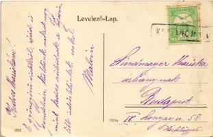 Komárom, Komárnó; Nádor utca, Szentháromság szobor, üzletek, Fektor-féle méz czukor reklám / street,...