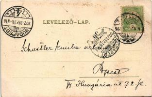 1902 Segesvár, Schässburg, Sighisoara; látkép. Fritz Teutsch kiadása / general view (fl)