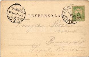 1903 Segesvár, Schässburg, Sighisoara; látkép. Zeidner H. kiadása / general view + "BRASSÓ - BU...