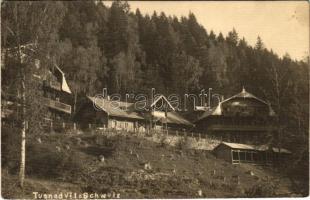 1930 Tusnádfürdő, Baile Tusnad; Vila Schweiz / villa. Adler photo (fl)