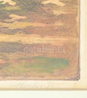 Paulovits Pál (1892-1975): Ősz a Margitszigeten. Színezett rézkarc, papír, jelzett. Üvegezett fakere...